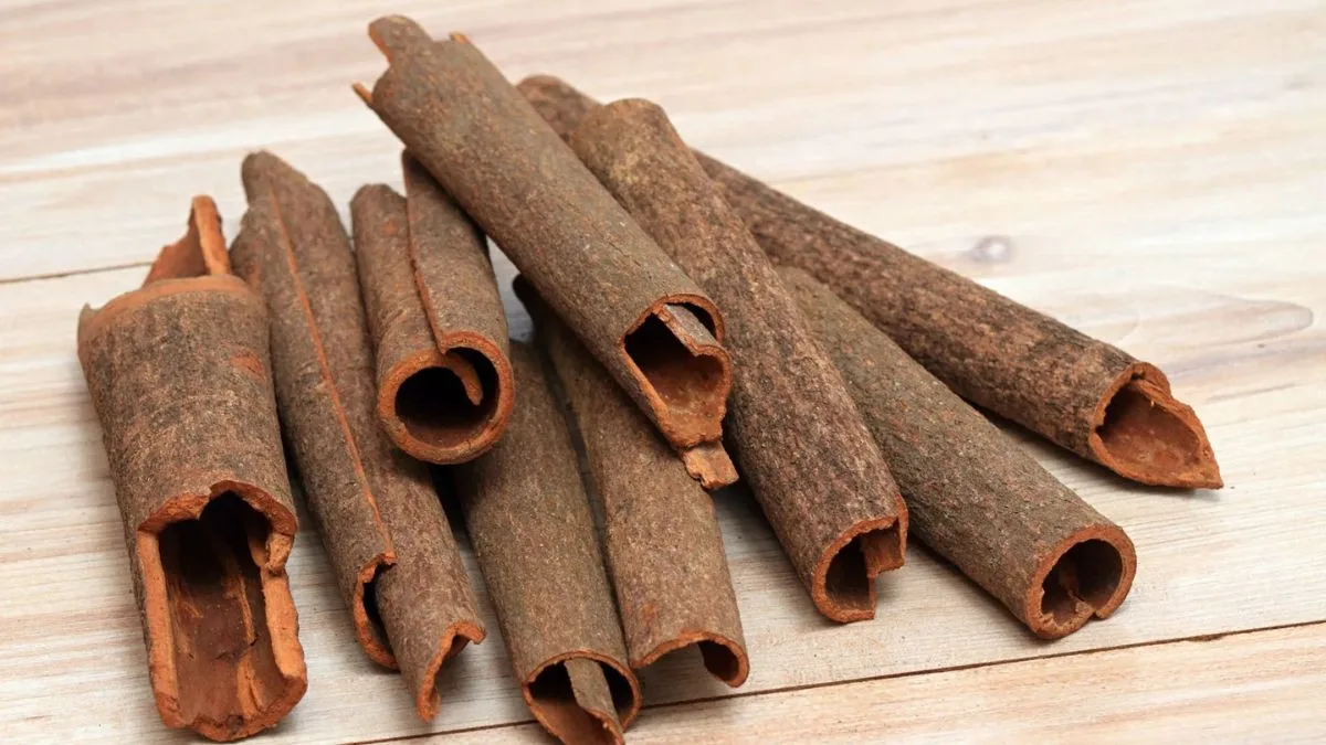 Patanjali Scientists’ cinnamon study makes it to International Food Science Journal
