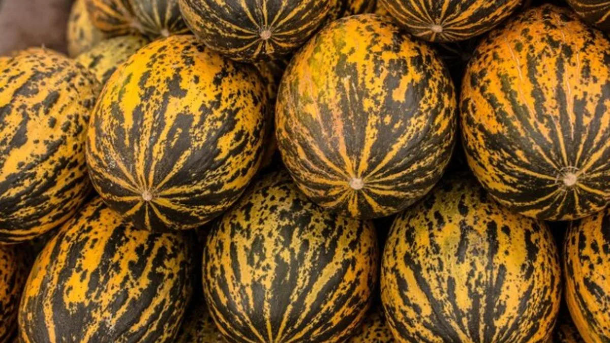 This summer fruit is 95% water, and that’s just the beginning
