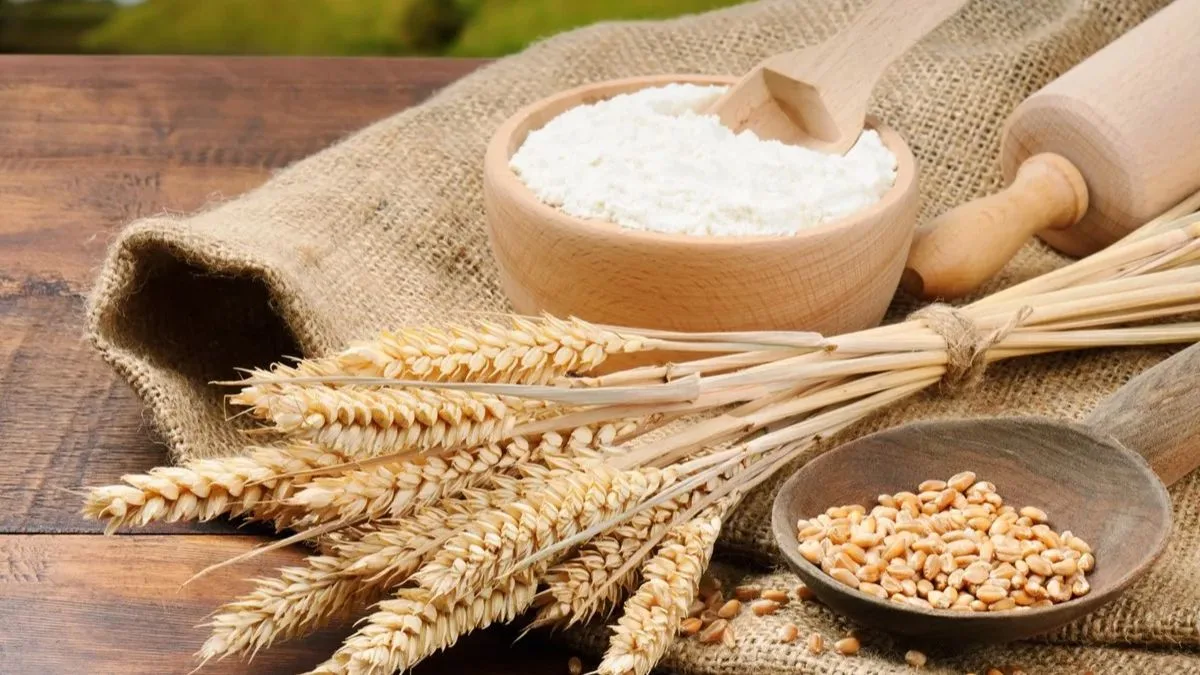 Chokaryukt aate ki roti: Acharya Balkrishna explains why wheat bran flour is the healthiest choice for you