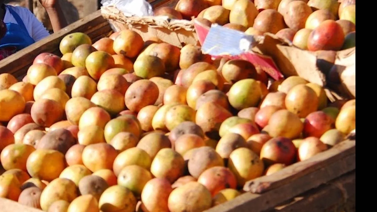 The mango that broke a market