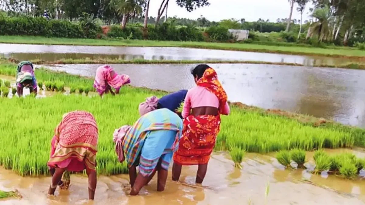 Super El Niño Effect Hits Home: Bengal’s Villages Face Early Climate Breakdown