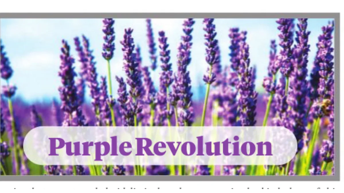 Purple revolution a model for rural communities
