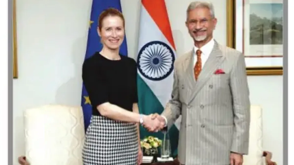 EU envoy trips up in Pakistan