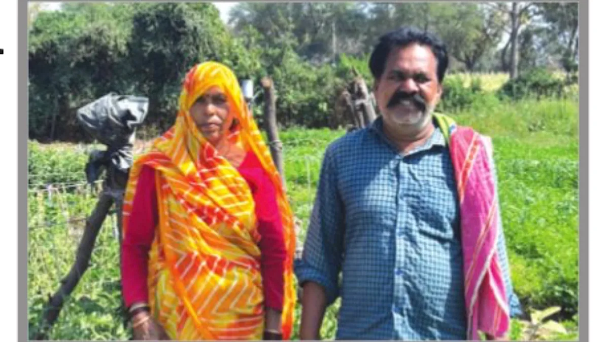 Organic farming adds to incomes, health