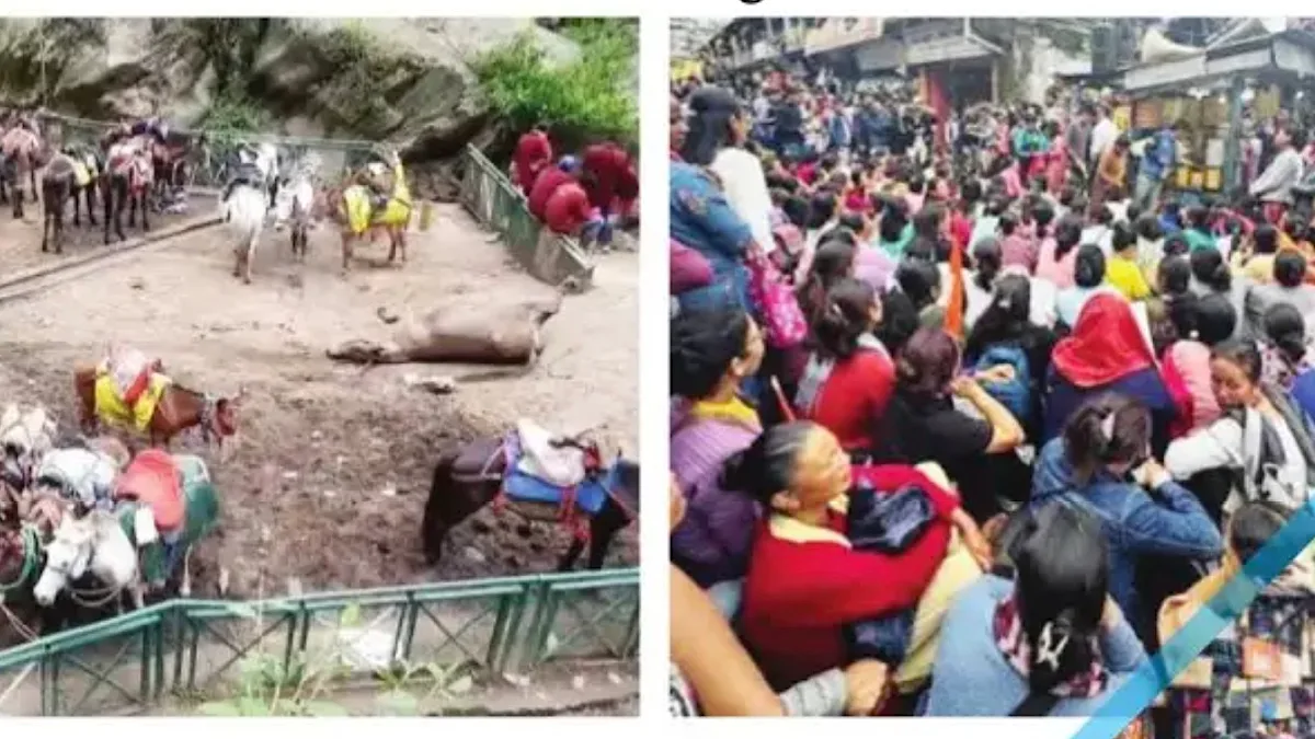 The suffocating summit: How India’s ‘reel-life’ mountain trends are choking the highlands