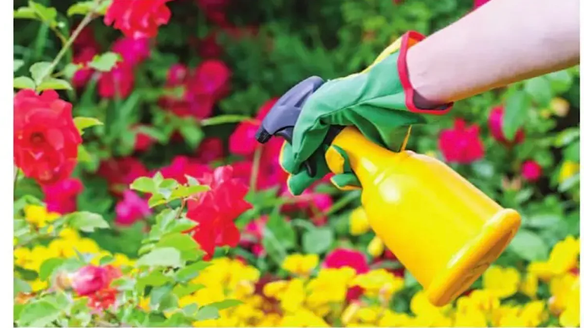 Sanitary Fundamentals Of Pesticide Application & Its Classification