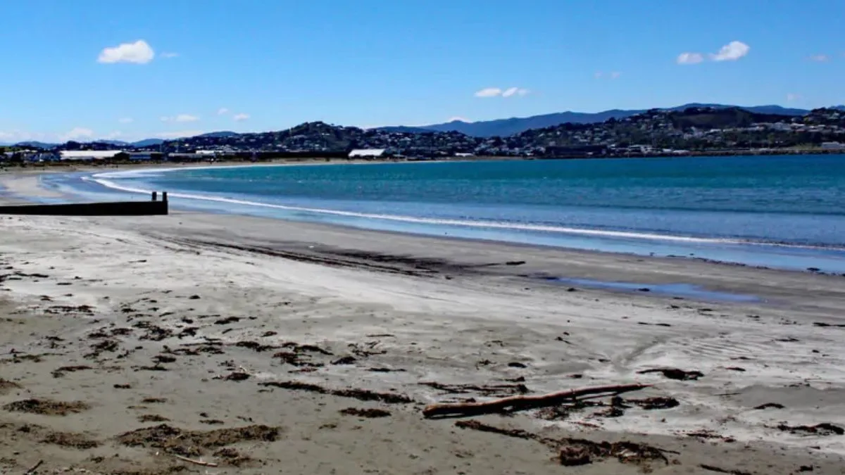 ‘Literally pieces of poo on the ground’: New Zealand capital hit by sewage flood as crippled treatment plant pumps waste into sea