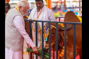 Punjab Muslim body urges PM Modi to declare cow as national animal