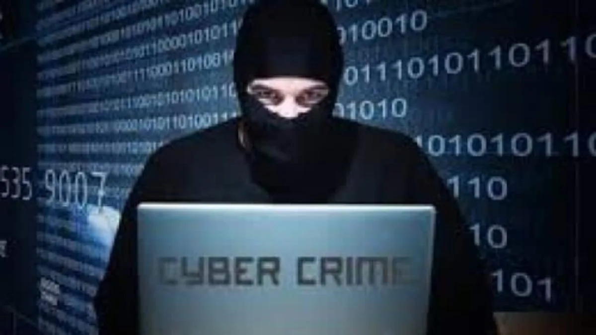 Cyber ​​Fraud: A trap like a spider’s web