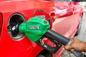 Vehicle insurance remains valid with the use of E20 fuel: Centre