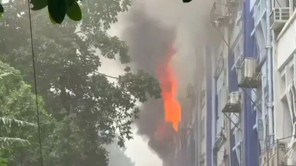 Fire in Alipore govt office was set to destroy database of poachers, investigators claim