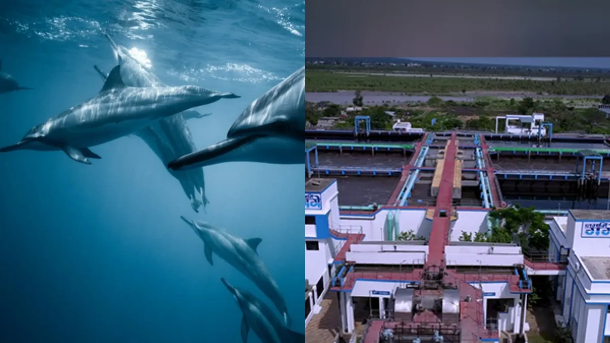 2 dolphin parks, sewage treatment projects: Centre-state’s big Namami Gange push in Bengal
