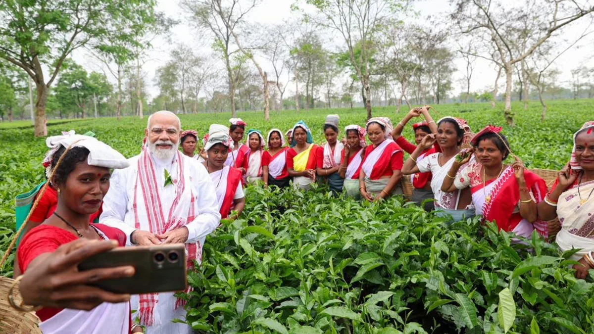Tea industry welcomes Bengal Budget push, seeks sustained support for sector revival
