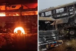 Eight killed as sleeper bus rams trailer, catches fire on Delhi-Mumbai Expressway; locals allege cigarette cartons fuelled blaze