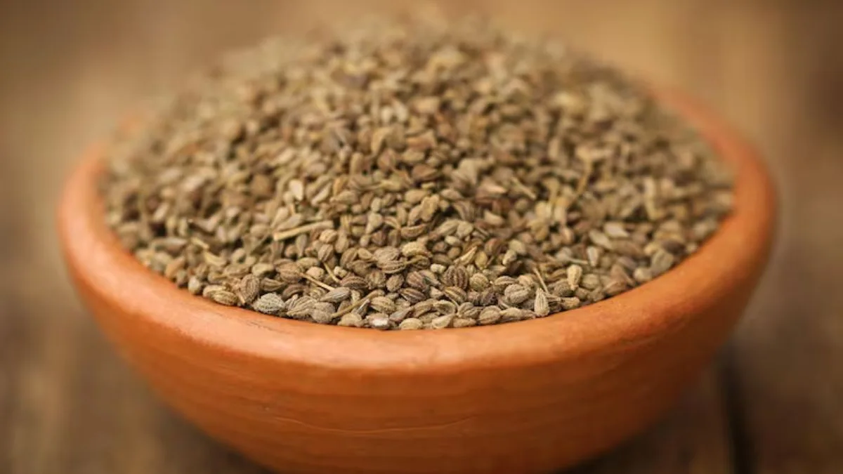 Grandma’s secret spice, ajwain, backed by science for stomach trouble and colds