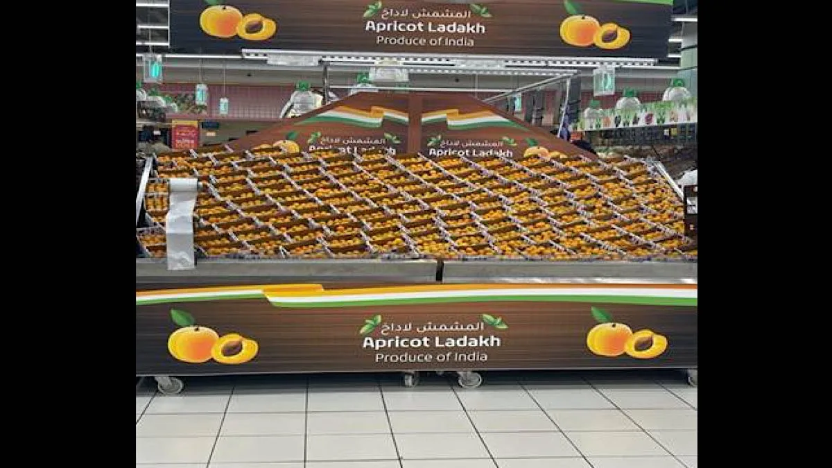 First Ladakh apricot consignment to Dubai set for July 14 dispatch