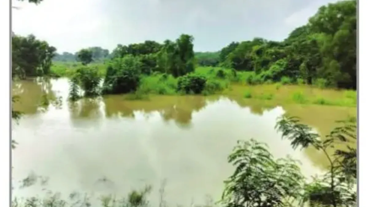 Bengal must confront environmental challenge