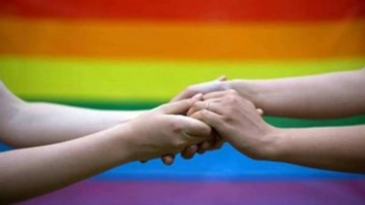 I-T Department opposes same-sex couple’s plea for claiming ‘spouse’ benefits