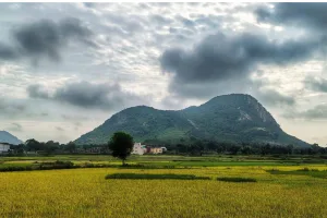 Purilia hills in Bengal may be key to India’s rare earth future; mining a major hiccup