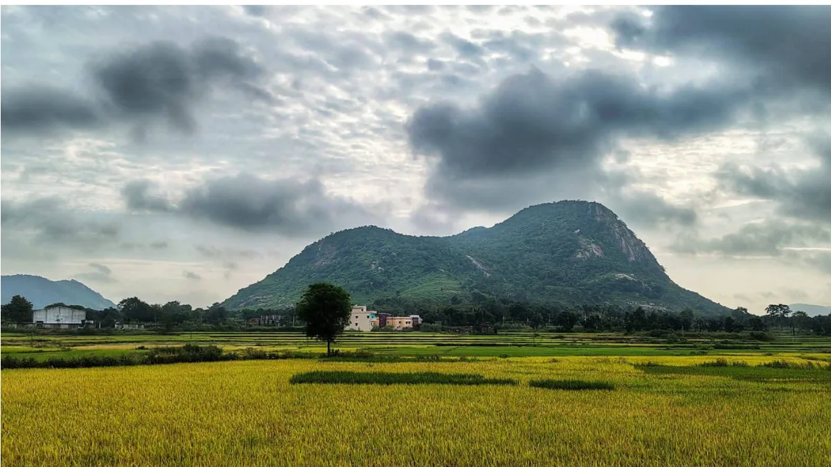 Purilia hills in Bengal may be key to India’s rare earth future; mining a major hiccup